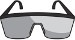 Safety Goggles