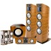 Home & Stage Audio