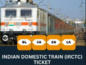 Indian Domestic Train Ticket