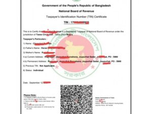 Income Tax Related Services