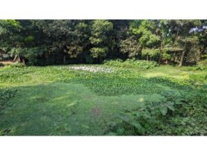 3 Gonda Land Sale RauJan Chattogram