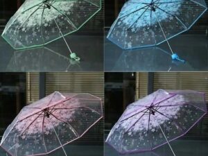 Transparent Stylish Umbrella